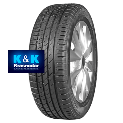 Шины Ikon Tyres Character Eco 205/55 R16 91H